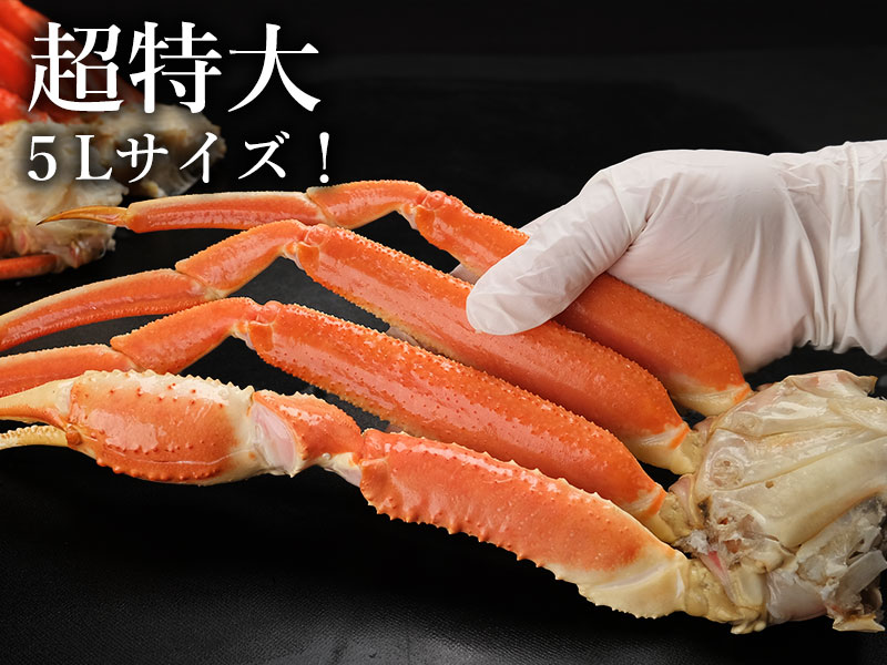 市場でも希少！圧巻の超特大５Lサイズ