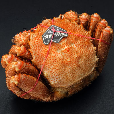 北海道産ボイル毛ガニ姿500g前後