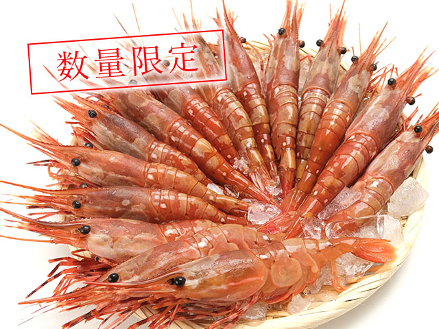 数量限定！次回入荷は数年後？