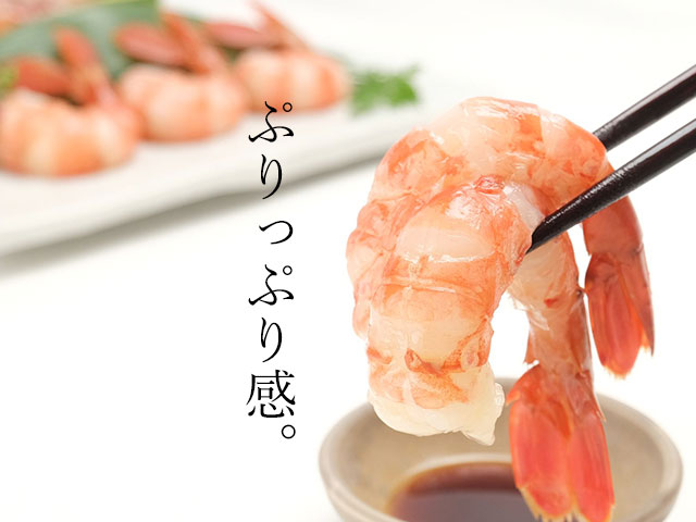 お刺身で実感！このぷりっぷり感