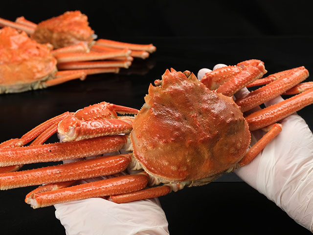 蟹でお腹いっぱい！圧巻の2kg（4～6尾）