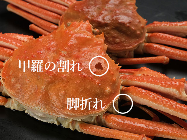 お得の理由。「中身で勝負」の訳あり