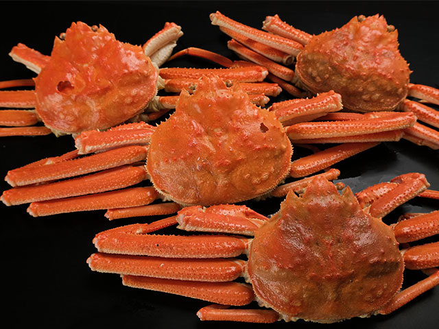 濃厚な甘み！訳ありオオズワイガニ