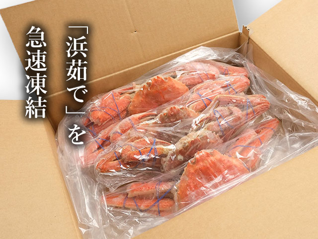 獲れたての味。「浜茹で」急速凍結