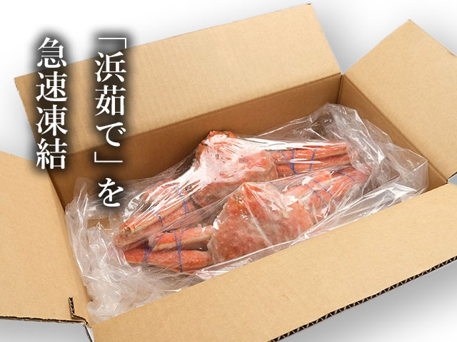 獲れたての味。「浜茹で」急速凍結