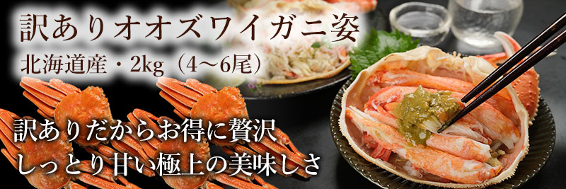 市場厳選の北海道産ボイルオオズワイガニ姿2kg(4~6尾)。