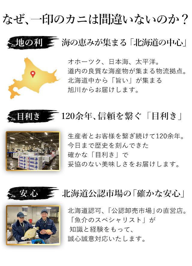 なぜ一印の間違いないのか