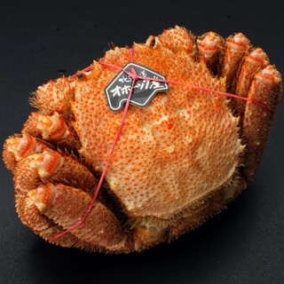 北海道産ボイル毛ガニ姿500g前後