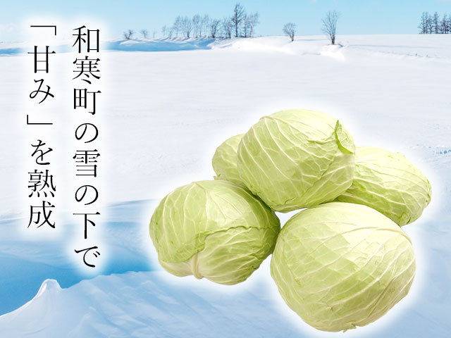 夏30℃、冬-20℃の北海道和寒町で育ちました