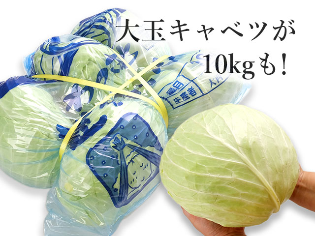 圧巻の１０ｋｇ！業務袋でお届け