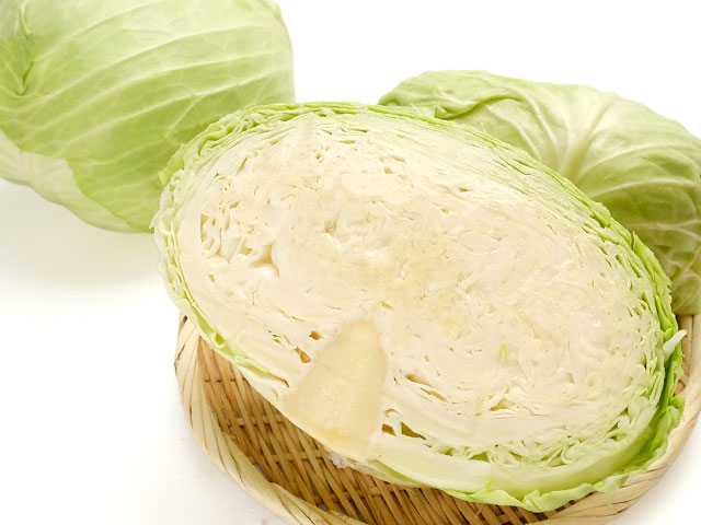 雪の下で甘みを熟成「越冬キャベツ」の通販