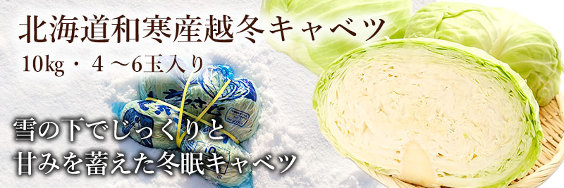 市場厳選の北海道和寒産越冬キャベツ10kg(4~6玉入り)を通販でお届けします。