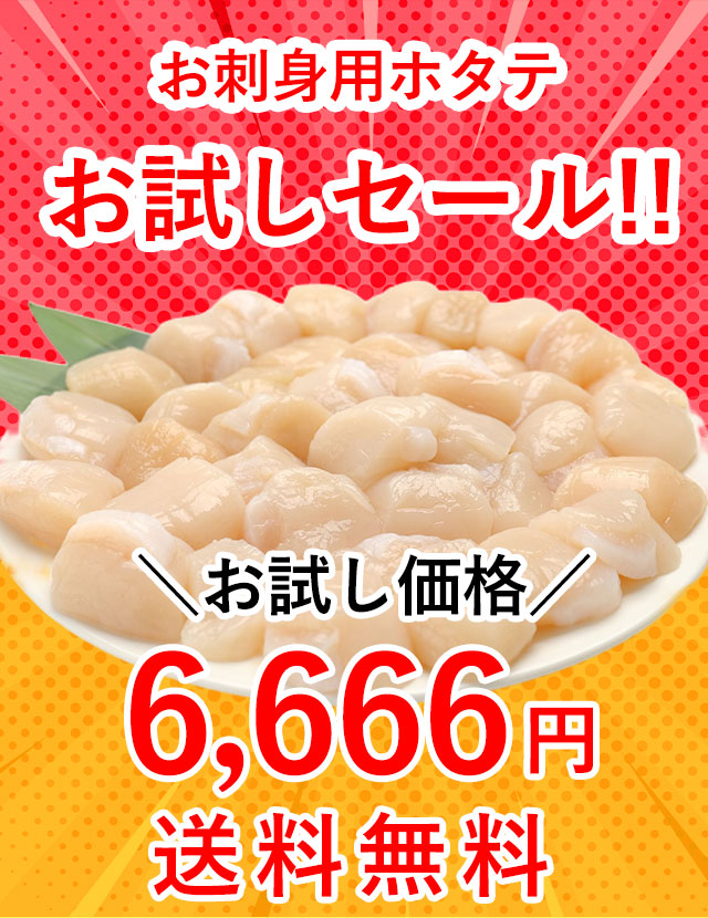 今だけ送料無料