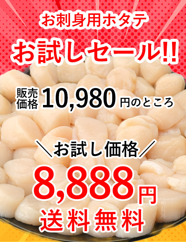 今だけ送料無料セール実施中
