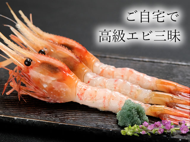 ご自宅で高級エビ三昧！