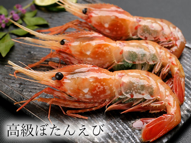 高級ボタンエビをお得に楽しむチャンス！