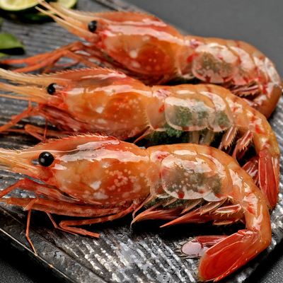 刺身用子持ちボタンエビ500g（9～13尾）