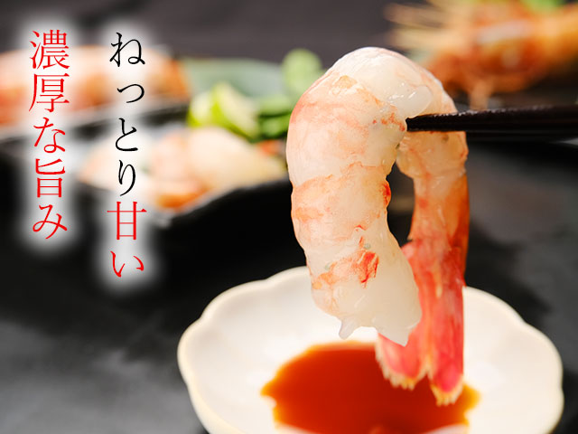 ねっとり甘く旨み濃厚な超特大お刺身用子持ちボタンエビ
