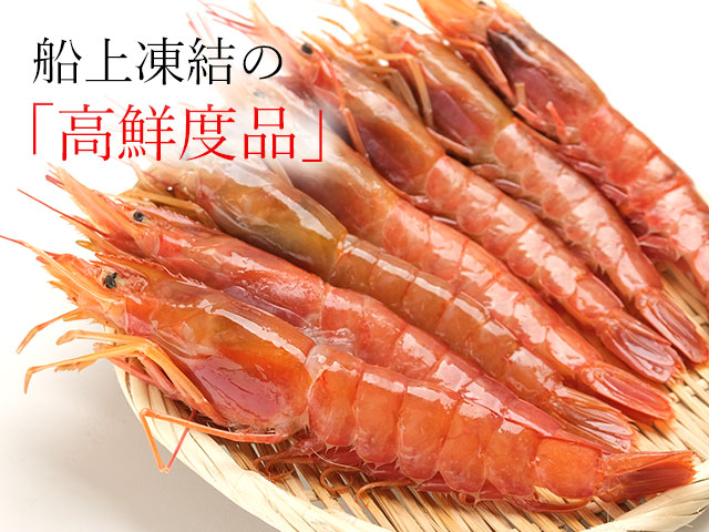 とれたてを船上で活〆にし急速凍結