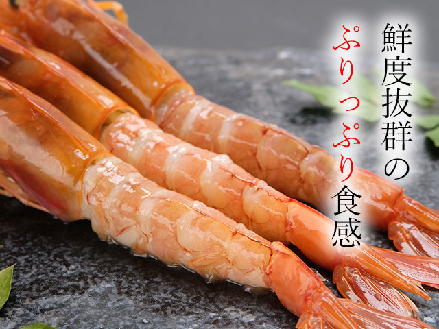 まずはお刺身でお召し上がりください