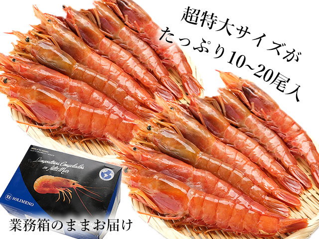 たっぷり1kg！業務箱のままお得にお届け