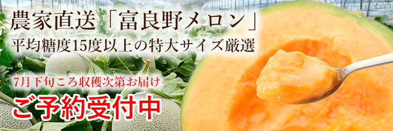 【農家直送】富良野メロン特大玉2kg以上x1玉(秀品)をお届けします
