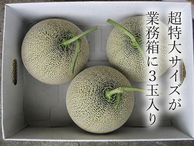 超特大サイズが8kg箱に3玉入り！