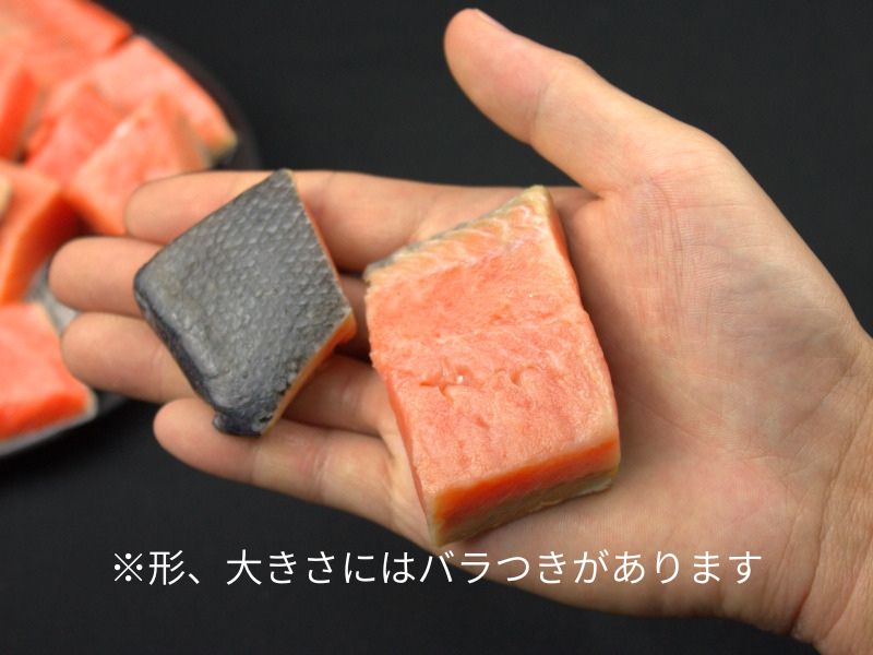 大きさにバラつきのある紅鮭