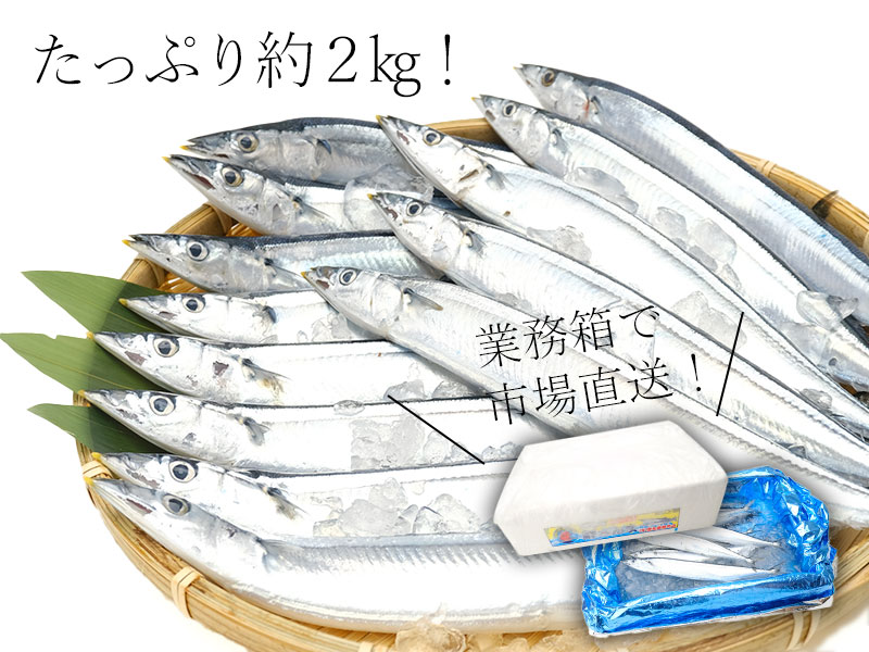 新物サンマを市場より直送！新鮮なサンマをご自宅で楽しめます。