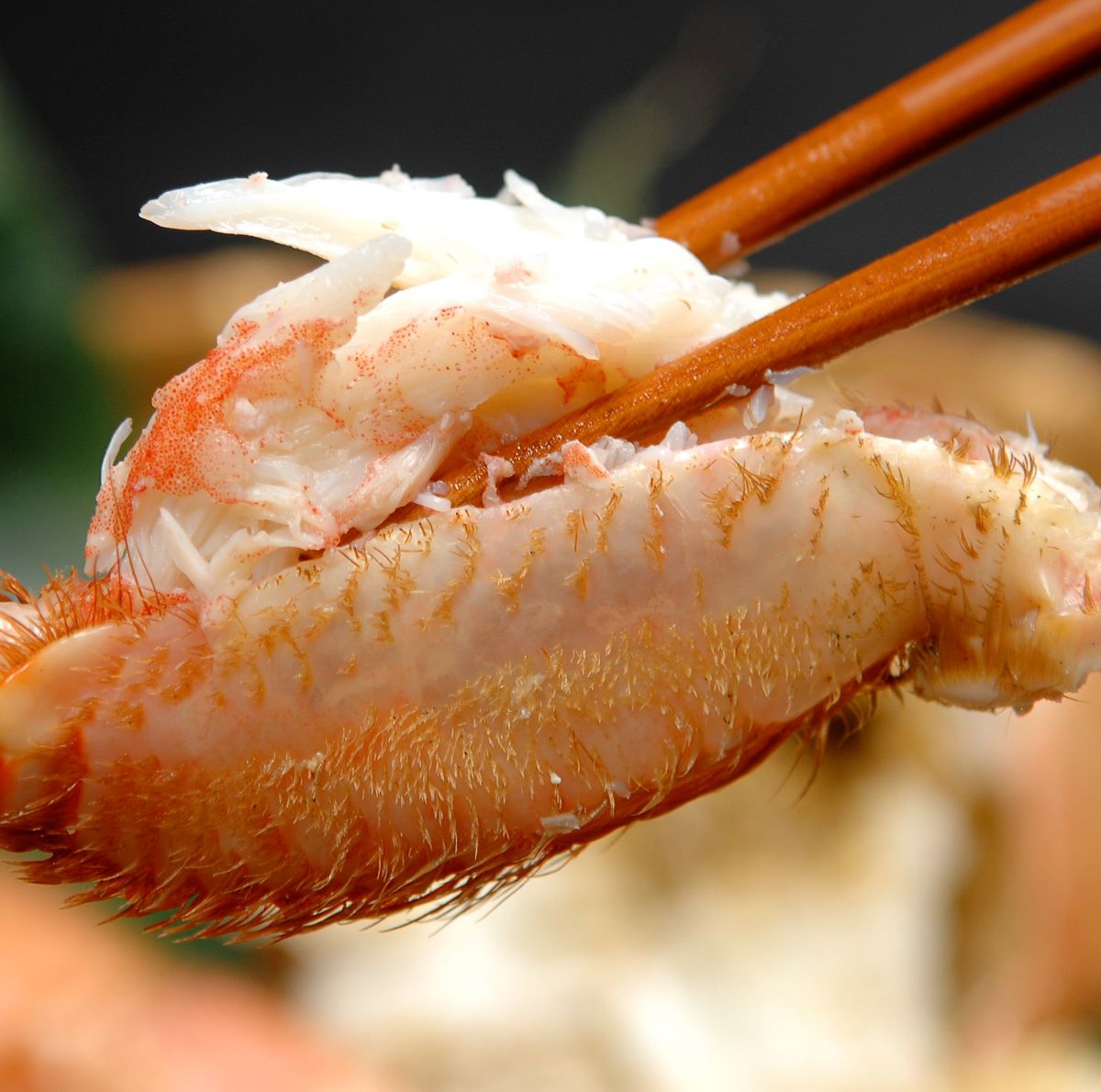 北海道産ボイル毛ガニ姿800g｜一印おさかな市場の通販オンライン