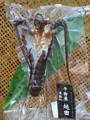 予約制（～8月18日）伊勢海老の開き塩麹漬け　1尾