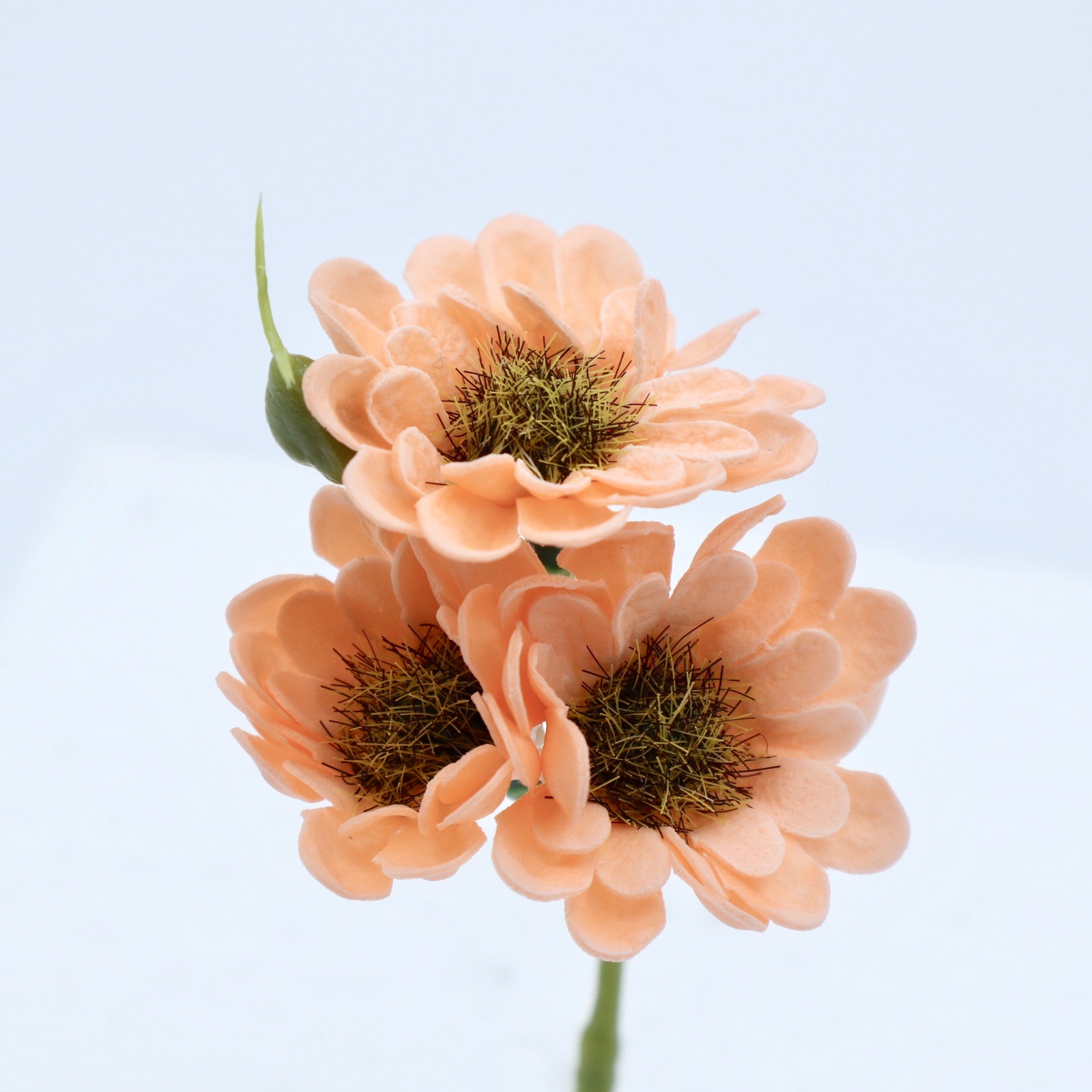 デイジーI-O2 シャーベットオレンジ(15輪入りor25輪入り) | QJ shop