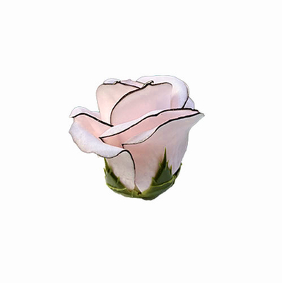 ラインパステルバラ　薄ピーチ＋ブラック（15輪入りor25輪入り）