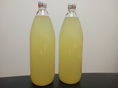 果汁100％ りんごジュース 1L　2本入 (送料込)