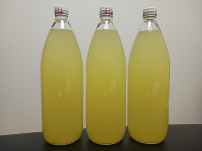果汁100％ りんごジュース 1L　3本入 (送料込)