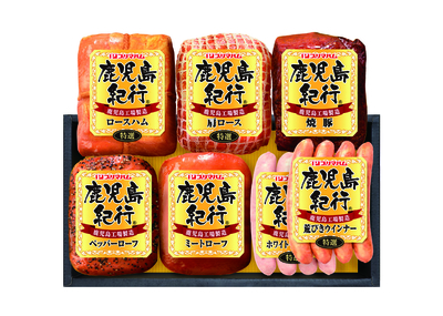 鹿児島紀行　H-810NR