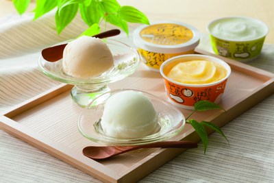 高知Made in 土佐「南の国の高知アイス」高知アイスセット