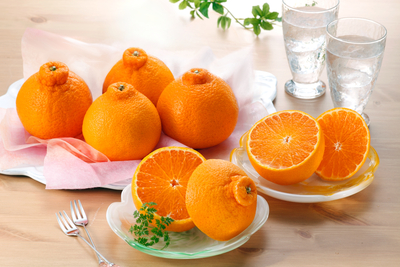 佐賀温室デコポン