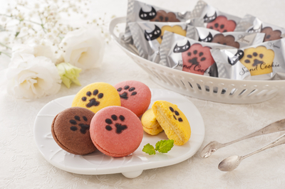 イーペルの猫祭り サンドクッキー