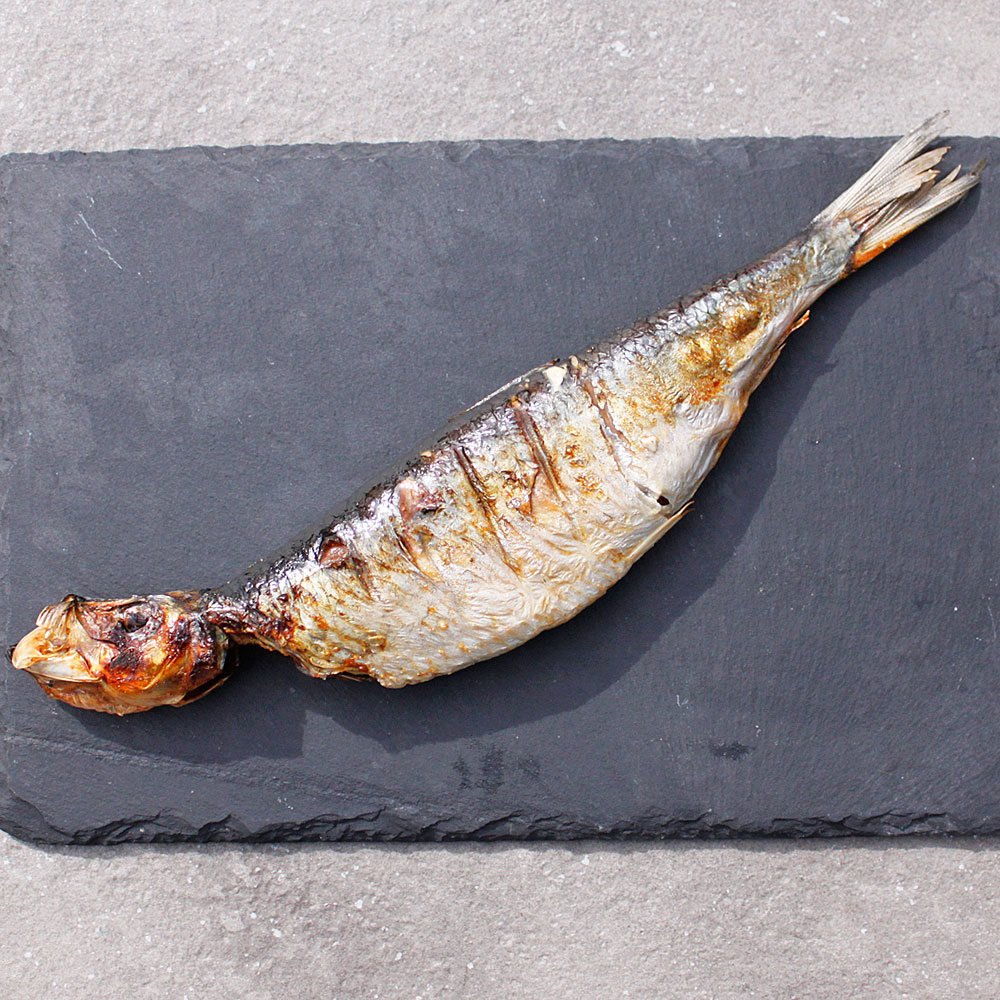 子持ち】にしん 丸干し〈1尾〉 | 浜だより