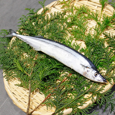 【北海道】塩さんま〈冷凍・１尾〉北海道産