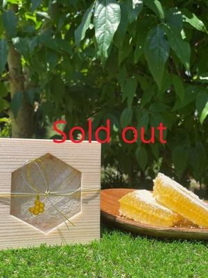 完売!!  アカシア巣蜜　300g超