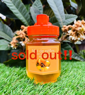 完売　新びわハチミツ 250g