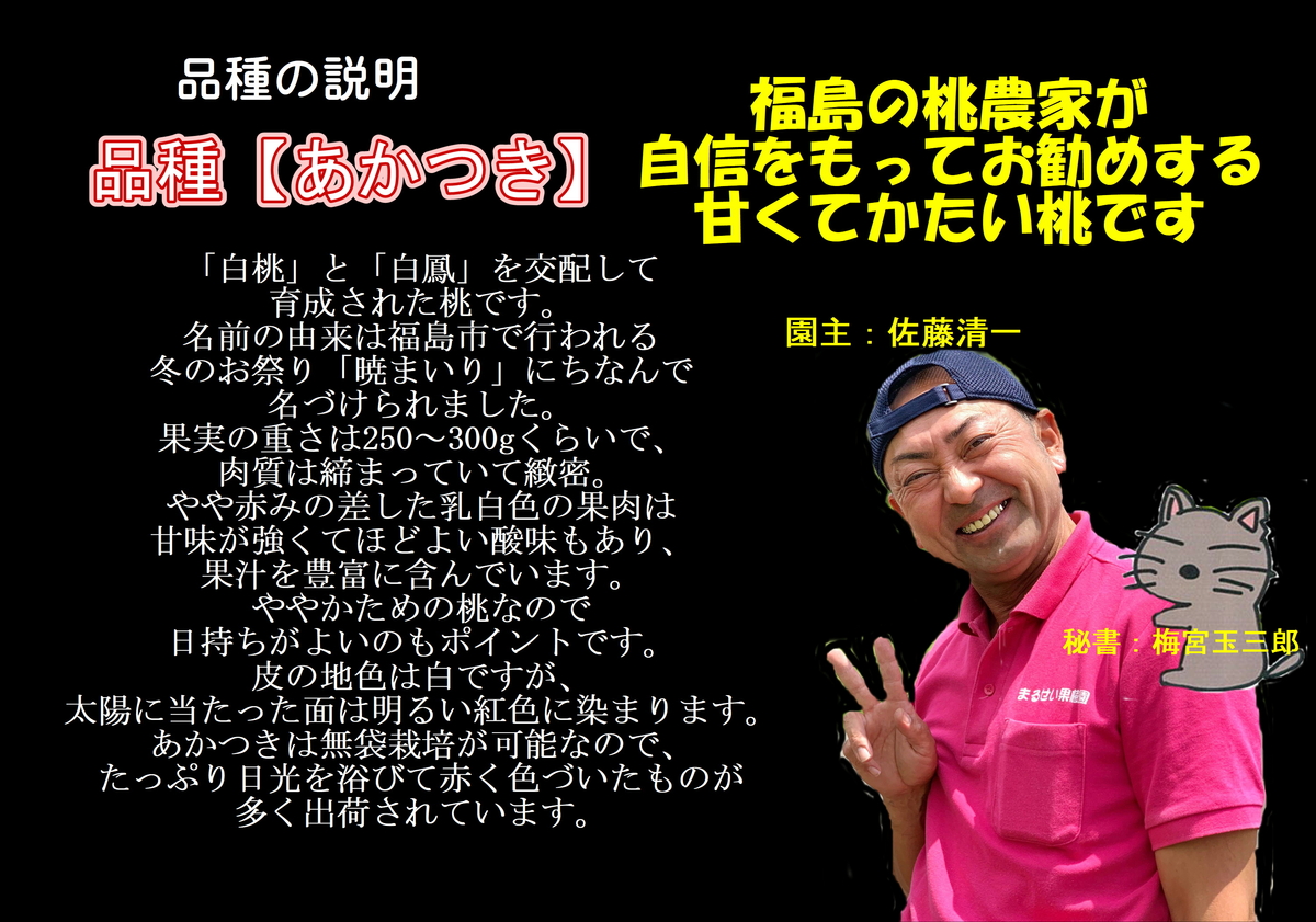 あかつき　家庭用　中玉〜大玉　箱込み10キロ あかつき】こだわり箱 ご贈答用 中箱（8～10個入り）玉数指定不可
