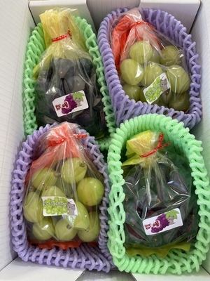 黒ぶどう＆シャインマスカット　贈答･自家用向け　粒　約350g&times;4袋
