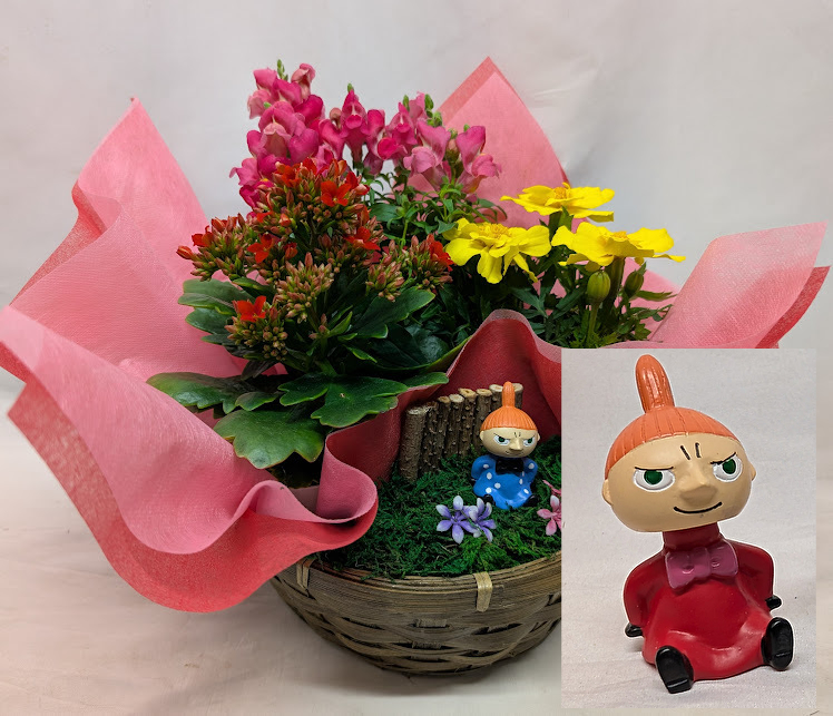 ムーミン　植木鉢 多肉植物寄植え(ムーミン💕) | CAINZ DIY Square