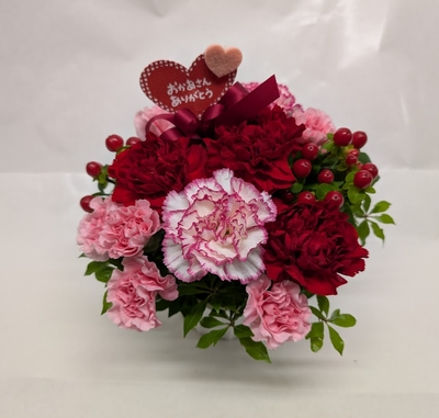 2026母の日アレンジメント  SSサイズ