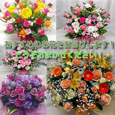 2026母の日アレンジメント  Lサイズ