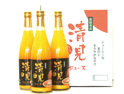 No.53 清見ジュース果汁100％ 720ml&times;3本入