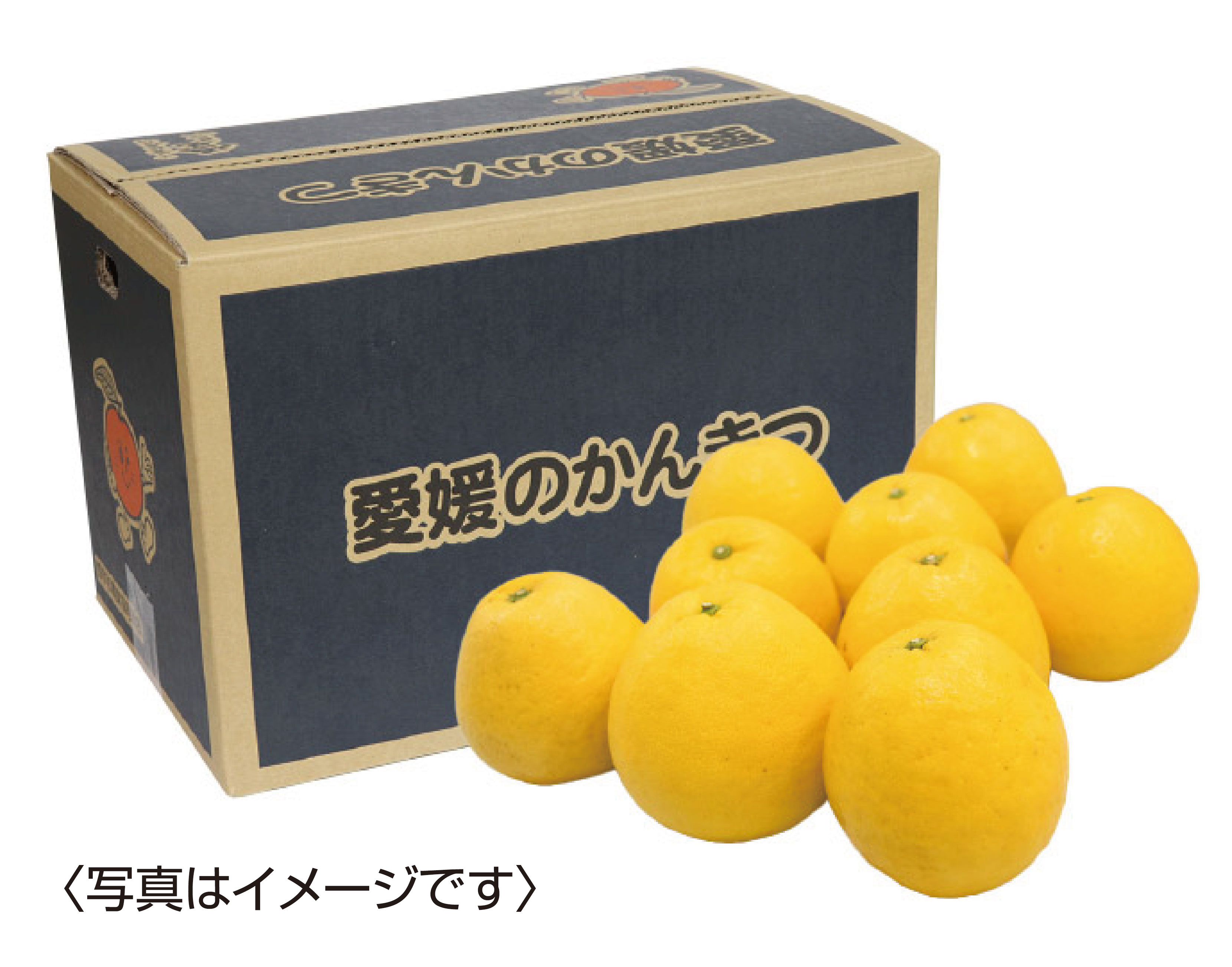 なっぴー　河内晩柑7kg×２箱ぐるりん 楽天市場】愛媛産 河内晩柑 2kg 訳あり【2品で+2kg(6kgセット) 3